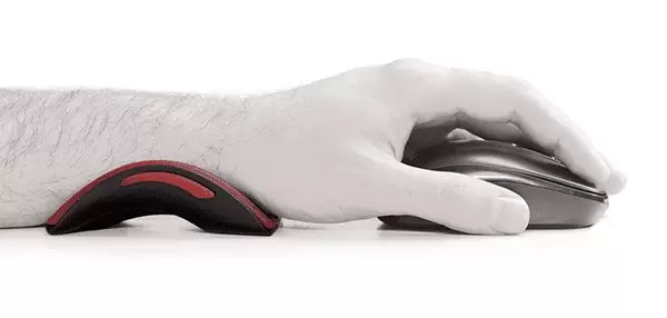 محافظ مچ دست باراد